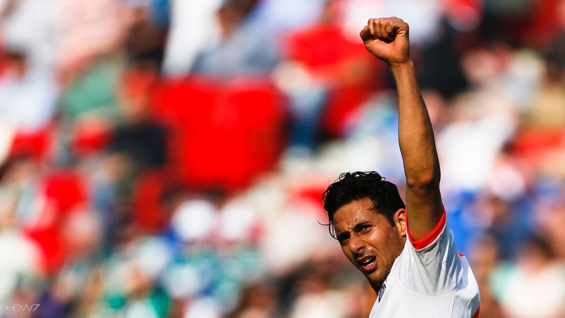 claudio pizarro. HD wallpaper gallery