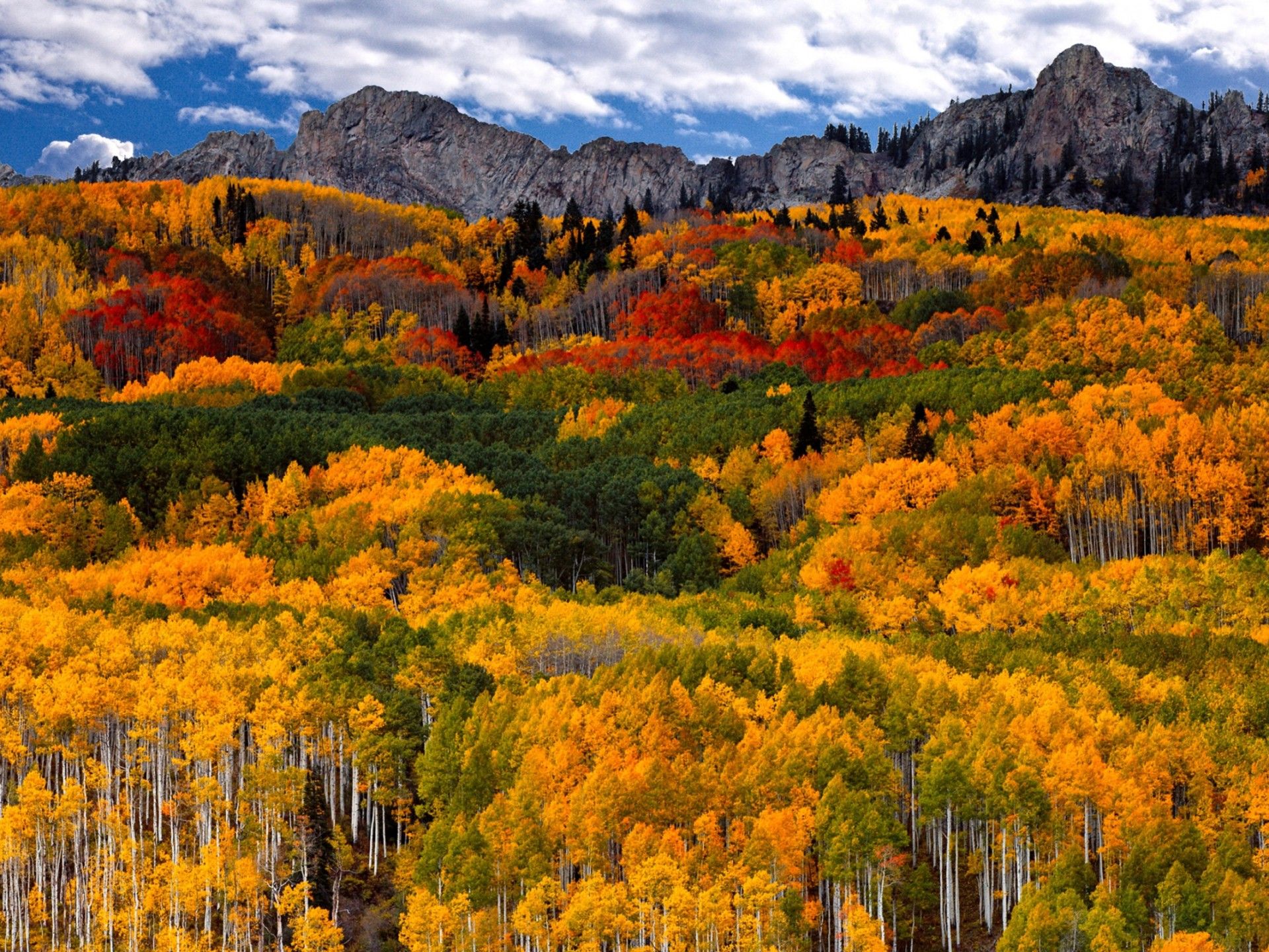 First Day Of Autumn In Canada 2560x1600, Wallpaper13.com