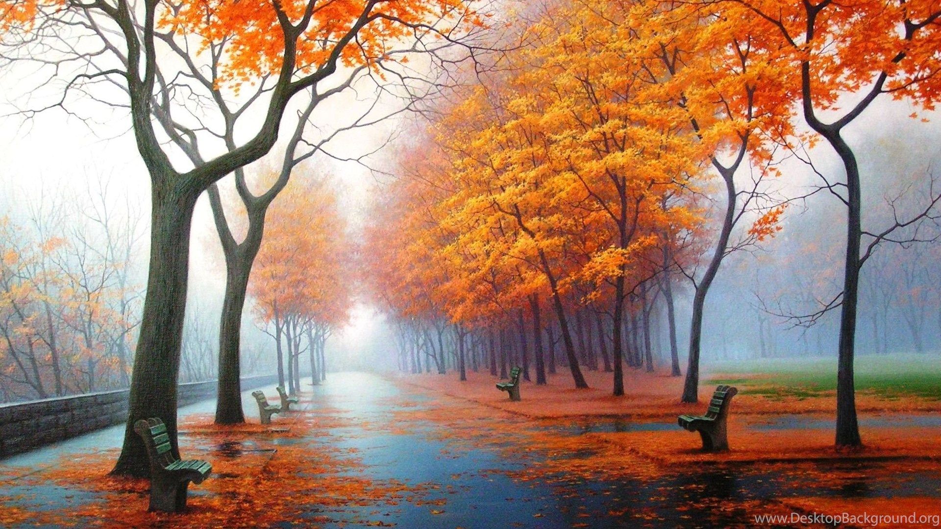 First Day Of Autumn Foggy Wallpaper Free Wallpaper Page Desktop Background