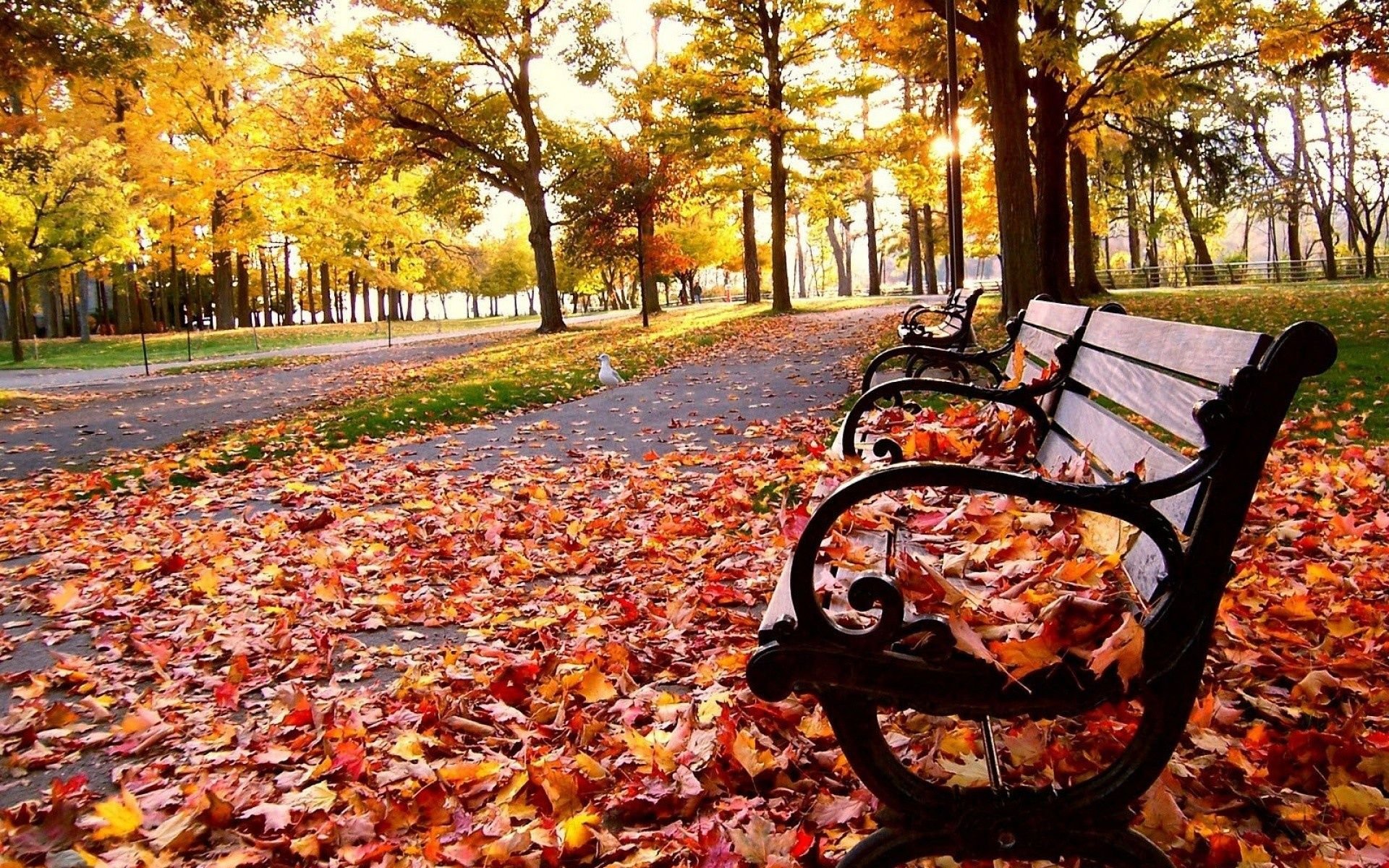 Bench Autumn Wallpapers - Wallpaper Cave