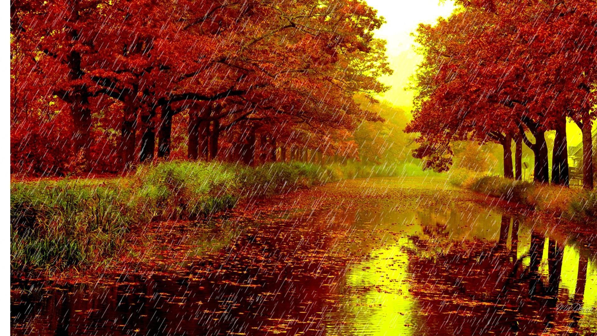 Rainy day in the autumn season free wallpaper. Autumn season image, Fall wallpaper, Autumn rain