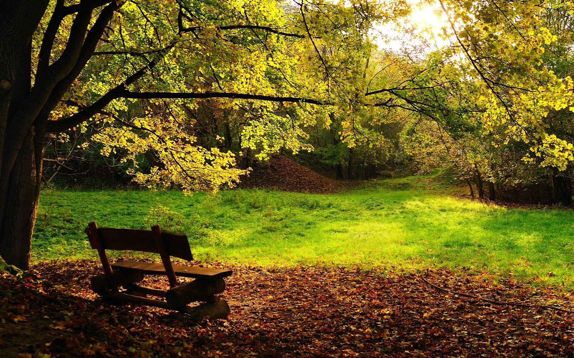 Autumn bench Wallpaper Autumn Nature Wallpaper in jpg format for free download