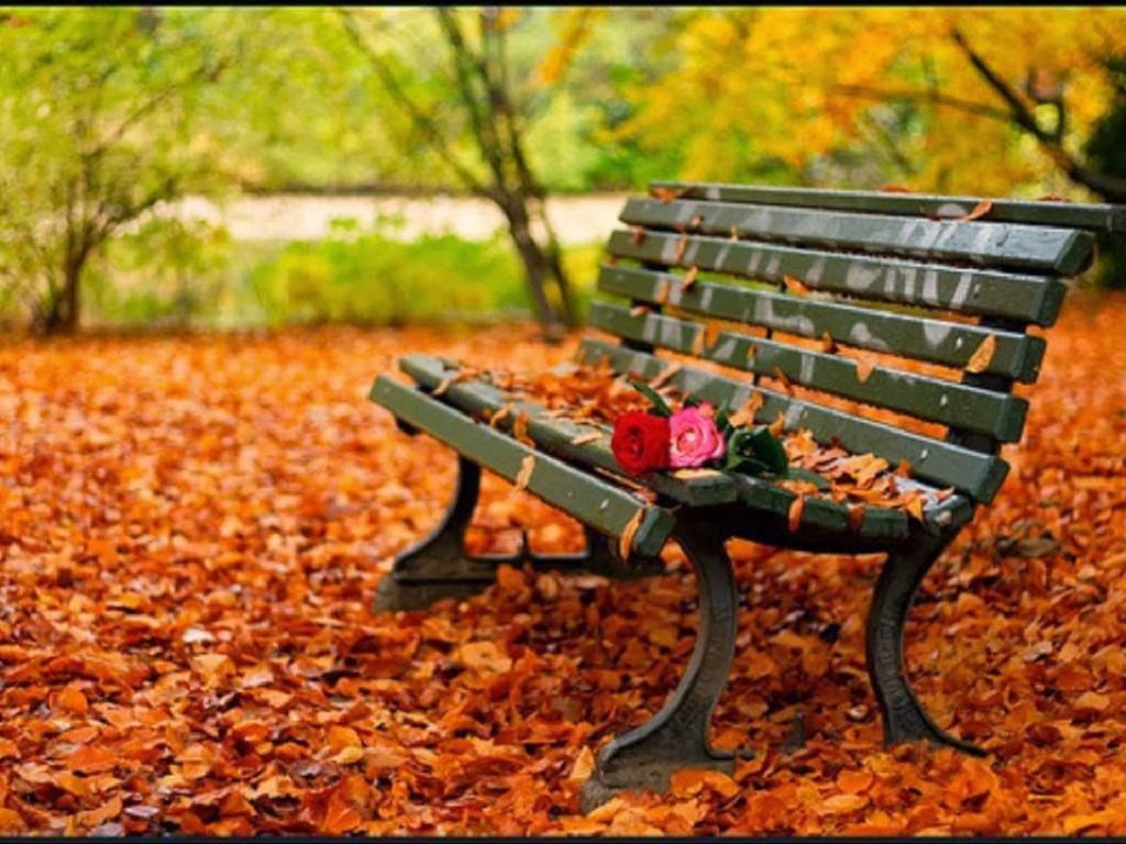 Bench Background. Bench Wallpaper, Lonely Bench Background and Forrest Gump Bench Wallpaper