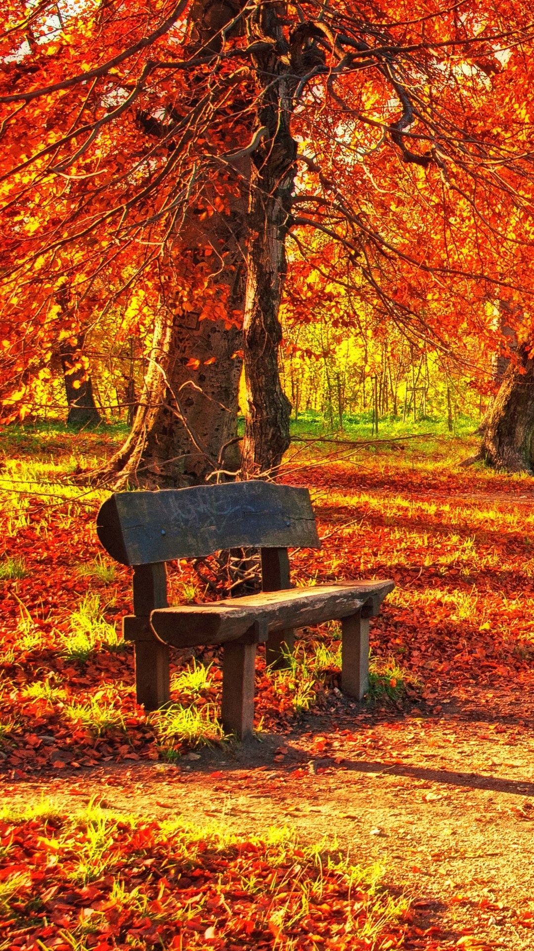 Bench Autumn Park Wallpaper - [1080x1920]