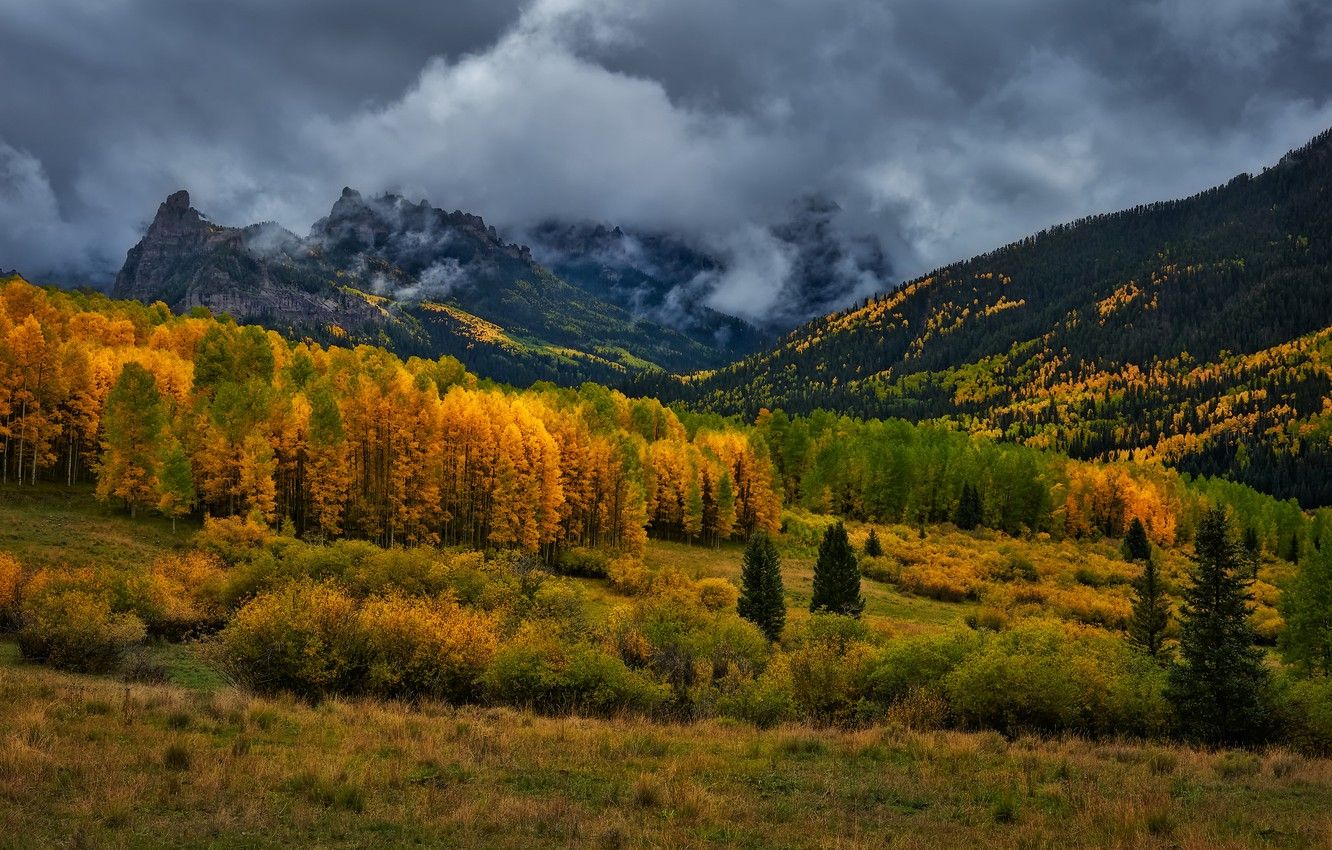 Wallpaper autumn, forest, mountains, clouds, Colorado, USA, rainy day, San Juan Mountains image for desktop, section природа