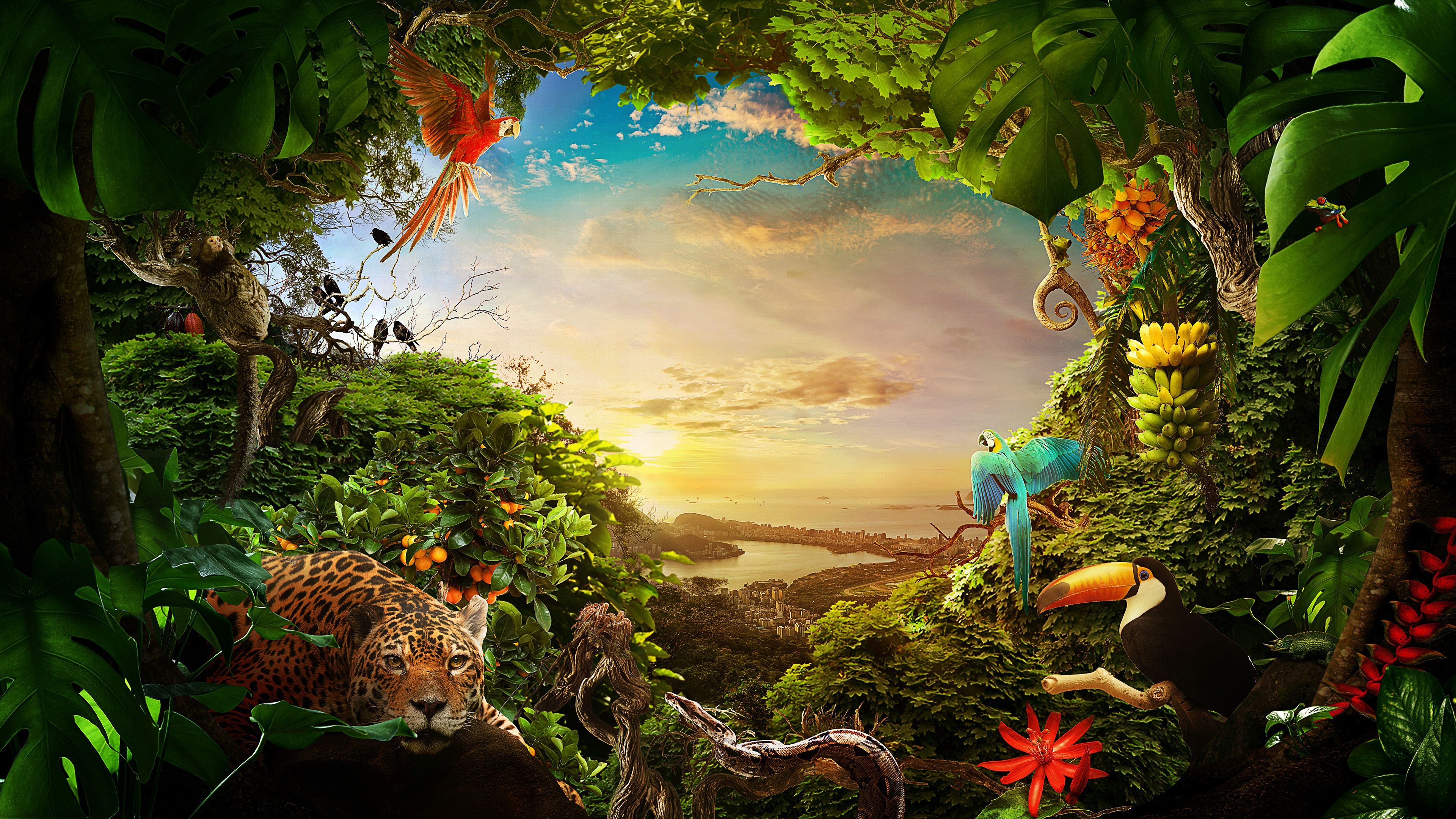 Forest Wildlife Wallpaper Free Forest Wildlife Background