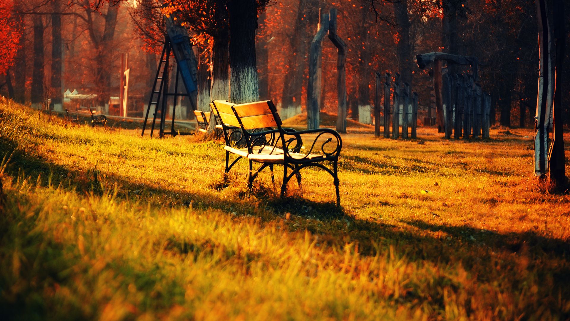 bench, autumn, grass, leaves, park wallpaper