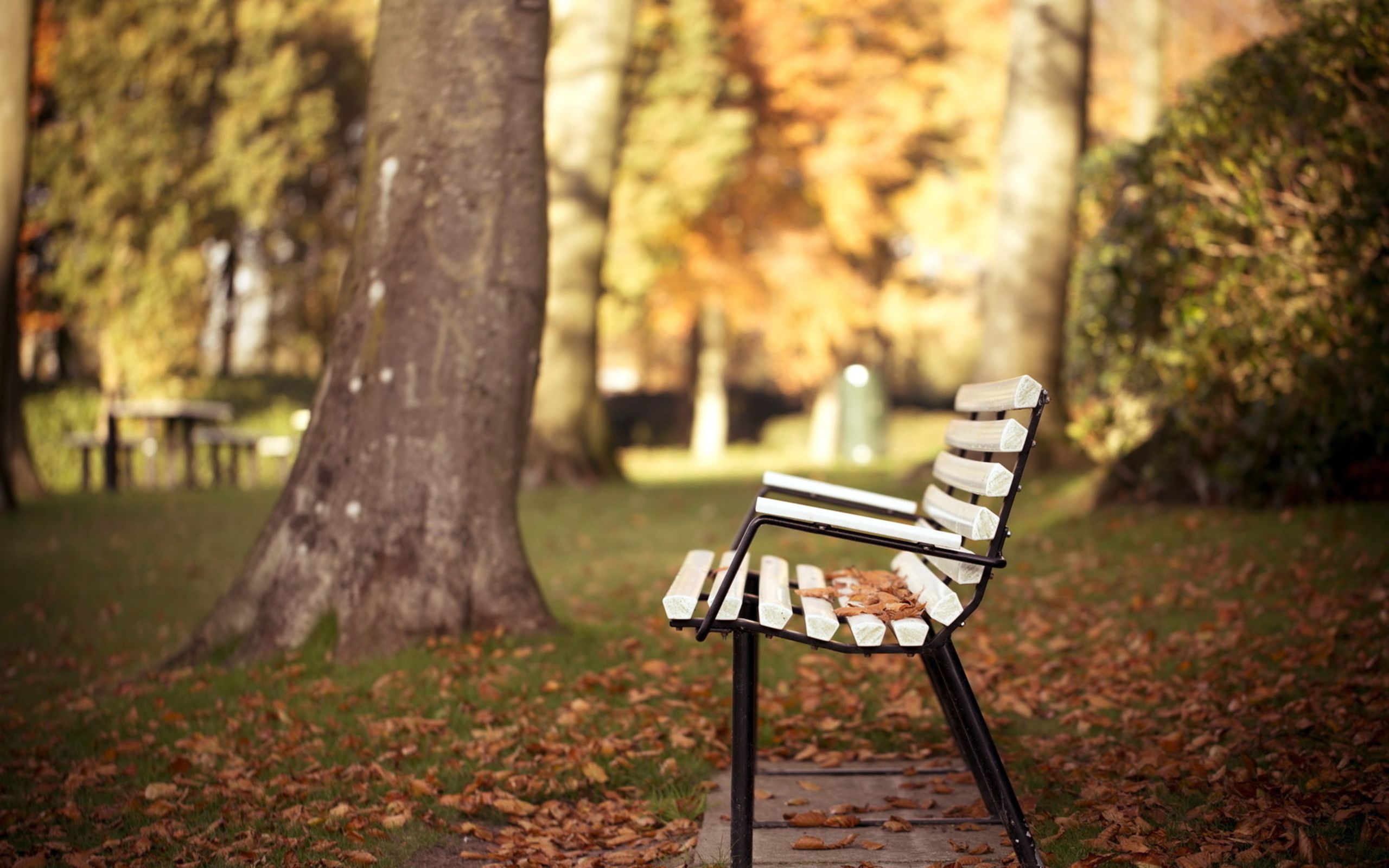 autumn wallpaper bench Desktop Wallpaperk HD