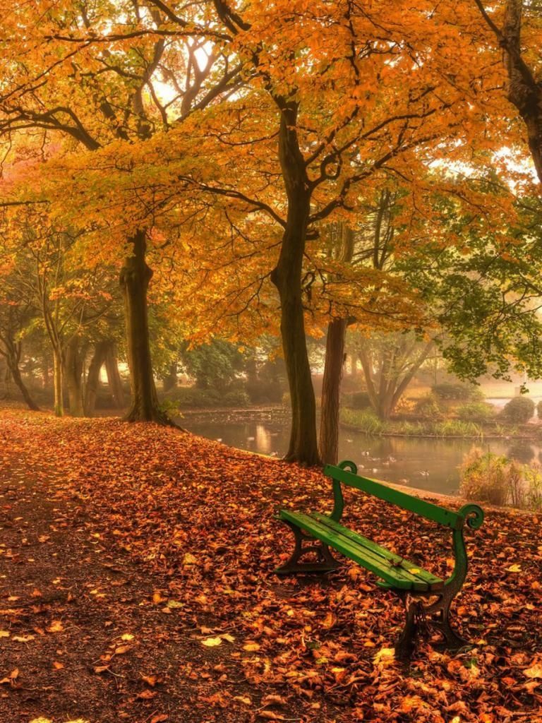 Free download Wallpaper Bench in the park autumn 1280 x 1024 Desktop wallpaper [1280x1024] for your Desktop, Mobile & Tablet. Explore Fall Wallpaper 1280 X 1024. Christmas Wallpaper 1280 X Spring Wallpaper 1280 X 1280X1024 Wallpaper