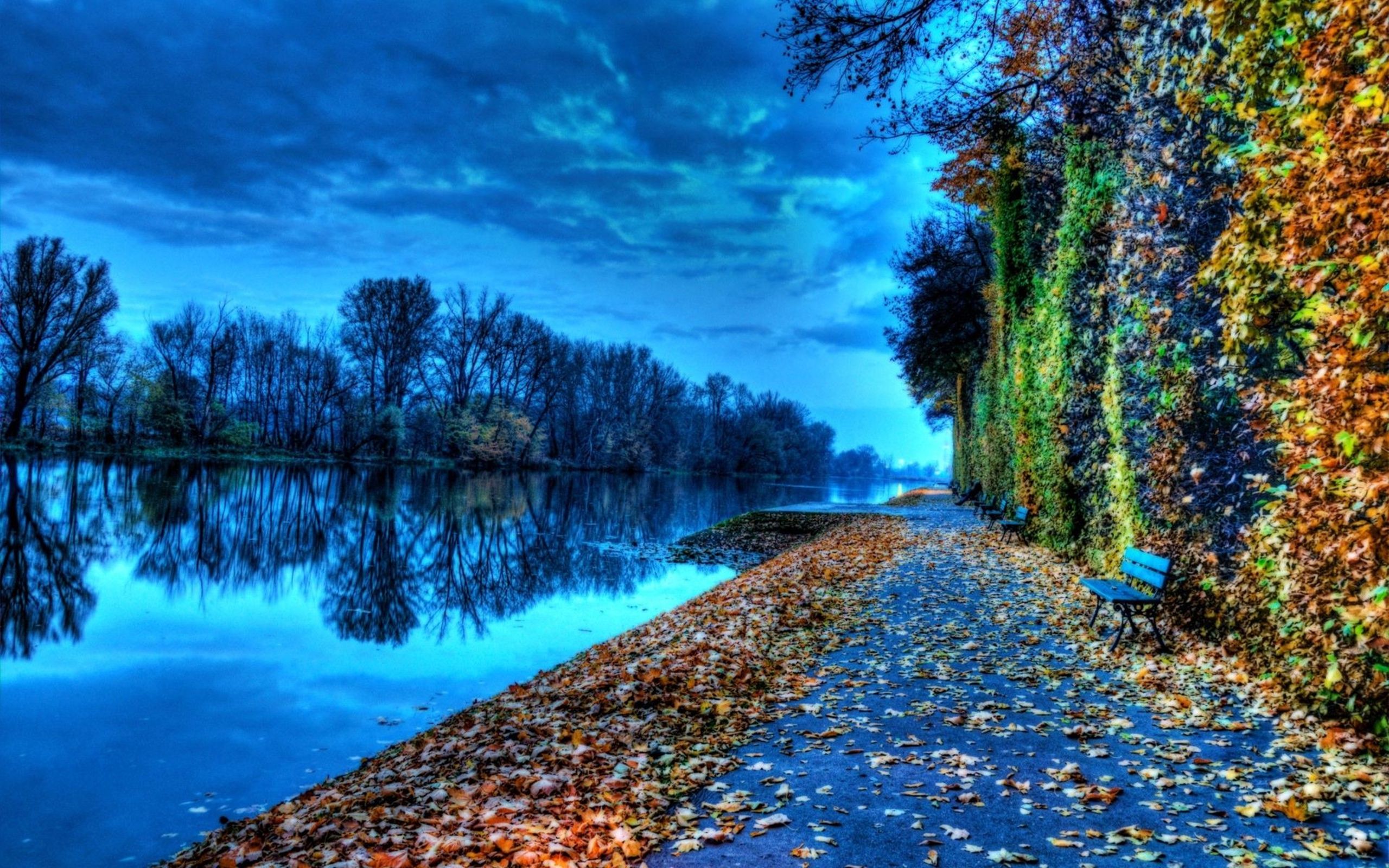 Riverside Bench During Autumn Nature Wallpaper