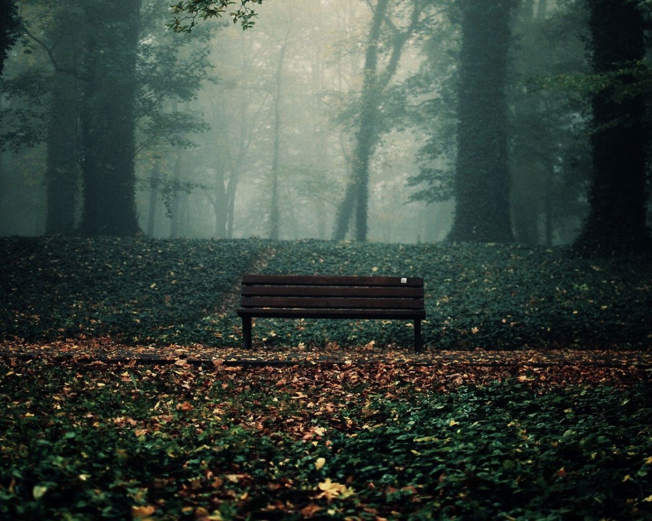 Lonely Bench in Autumn Park desktop PC and Mac wallpaper