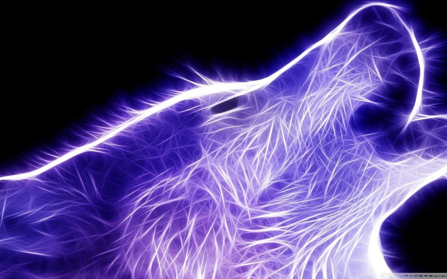 Free download Neon Wolf Wallpaper Top Neon Wolf Background [1920x1080] for your Desktop, Mobile & Tablet. Explore Free Wolf Background. Wolf Wallpaper Free Download, Wolf Background Wallpaper, Free Wallpaper of Wolves