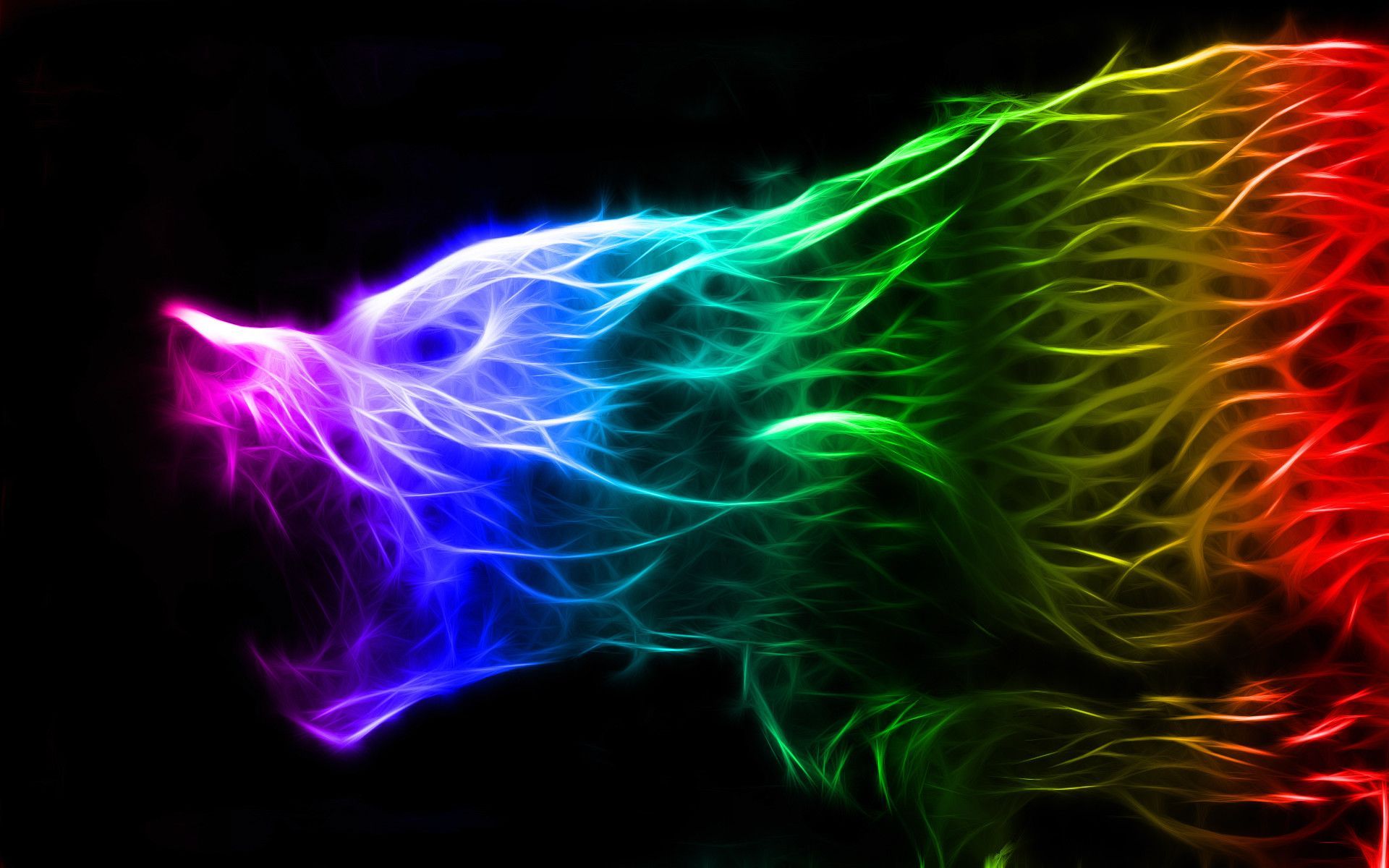 Colorful Wolf Neon Wallpapers.
