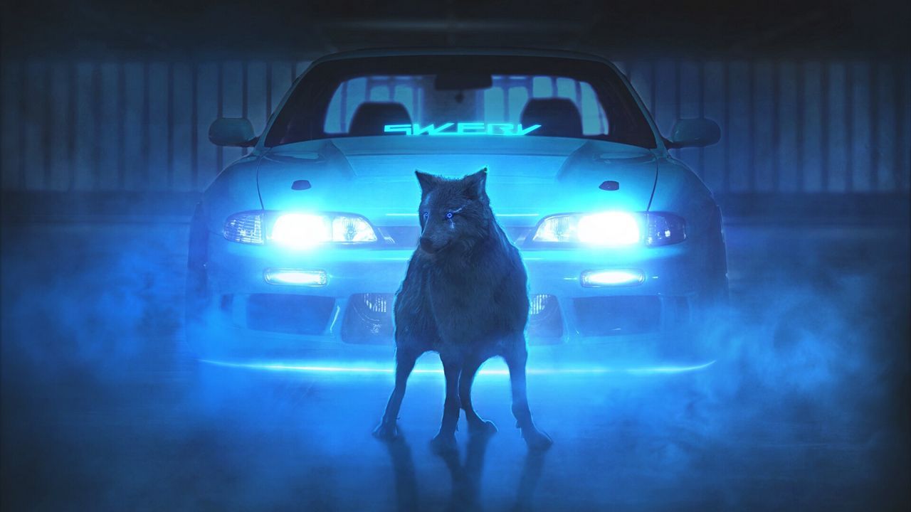 Wallpaper wolf, car, neon, light, smoke hd, picture, image