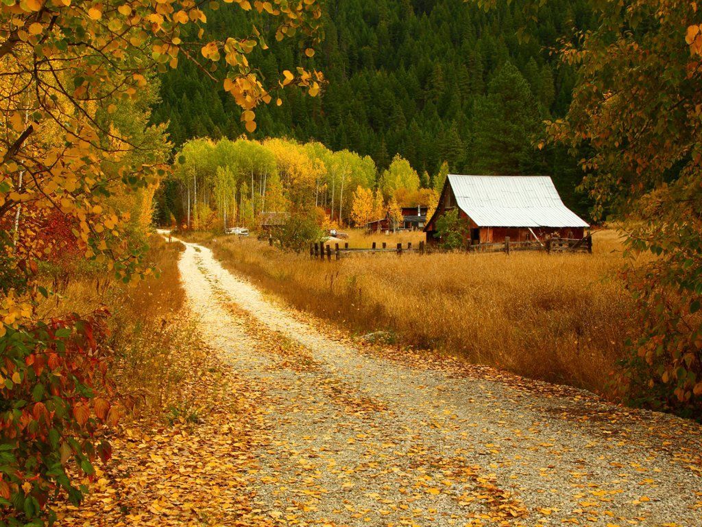 Wenatchee National Forest in Autumn, Washington. Autumn scenes, Autumn cozy, Nature