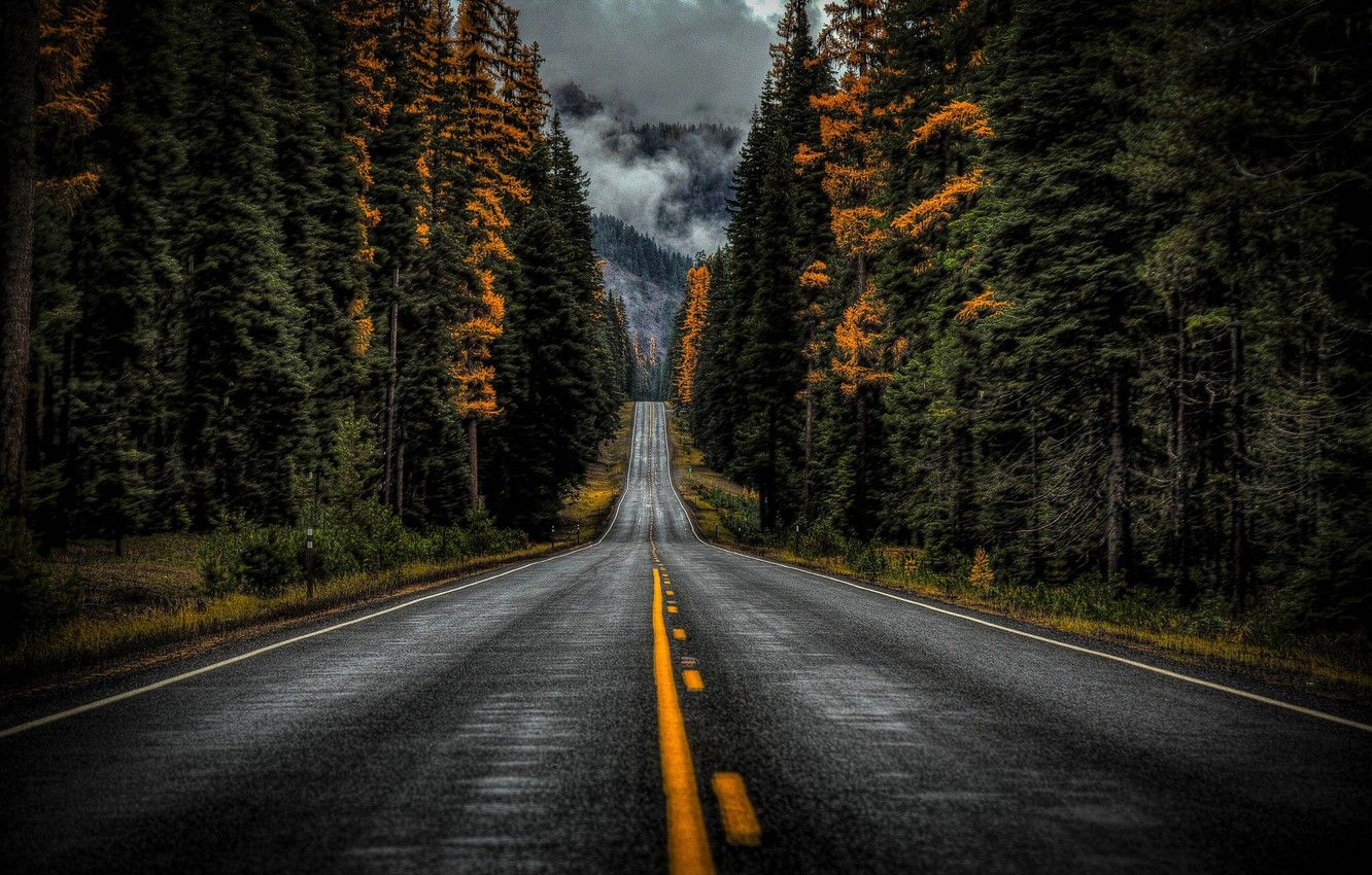 Wallpaper road, autumn, forest, trees, Washington, Washington State, Highway - for desktop, section природа