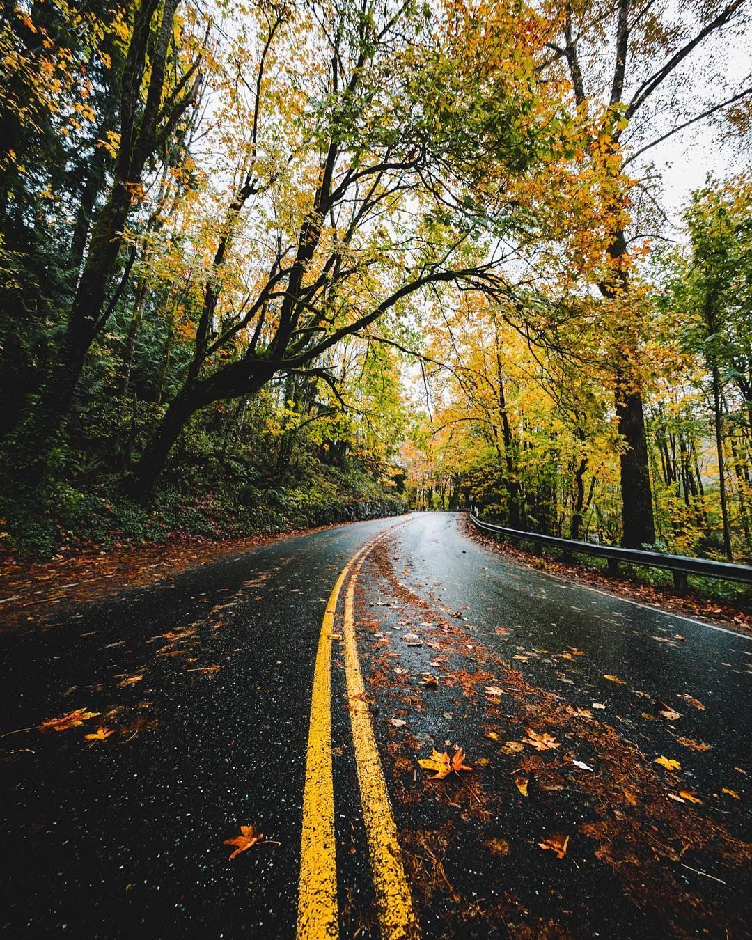 Rainy Autumn Road (Seattle, Washington) by seattle on Instagram