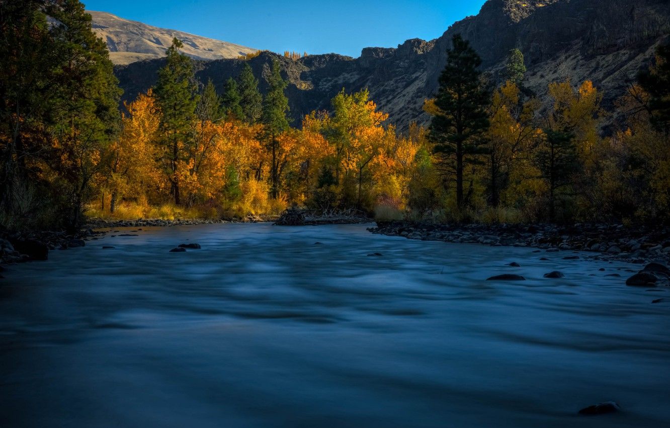 Wallpaper autumn, trees, mountains, river, Washington State, Washington, Forit River, River Bouffant image for desktop, section пейзажи