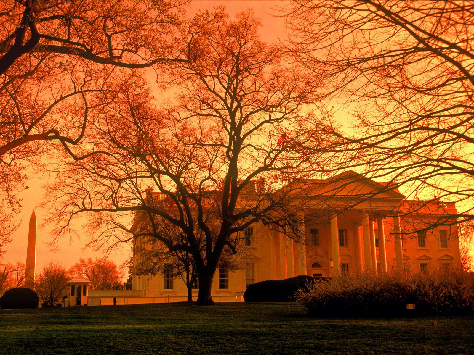 Download Wallpaper autumn usa washington twilight dusk the white house, 1600x The White House at Dusk, Washington, USA