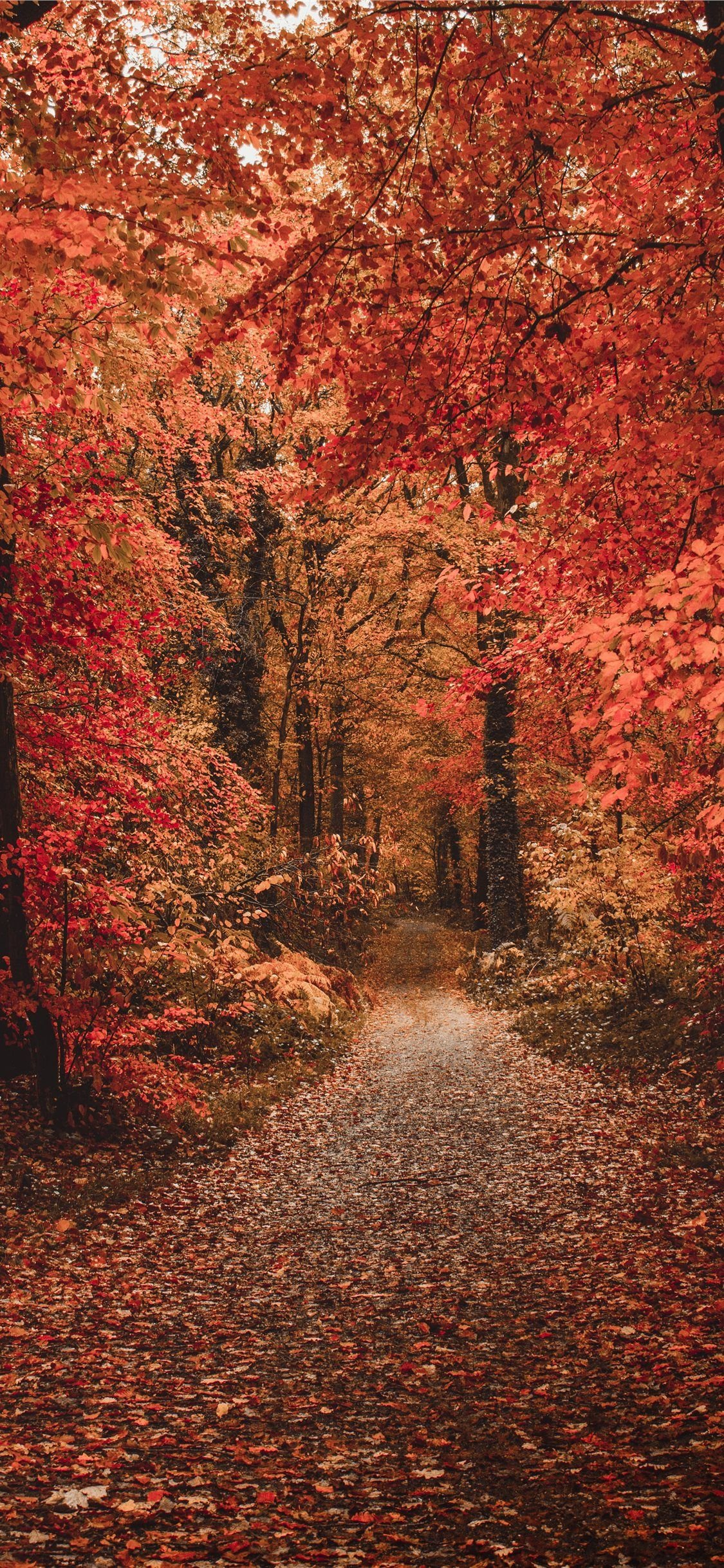 Autumn Iphone X Wallpapers - Wallpaper Cave