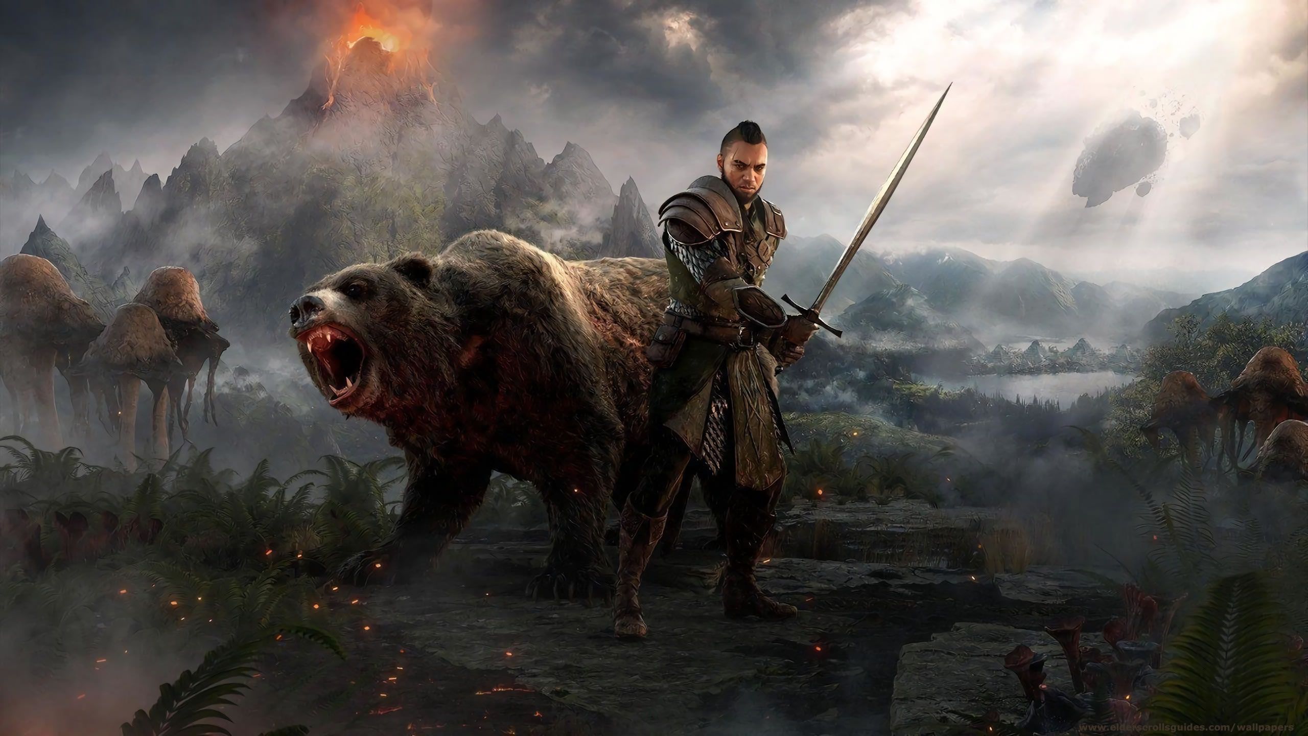 Warden wallpaper. Elder Scrolls Online