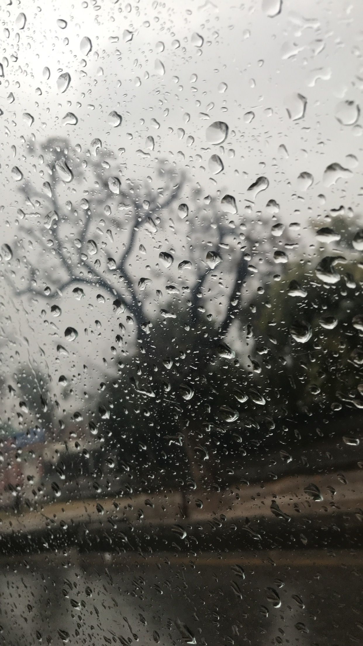 •°•ｊｕｓ ｓｏｍｅｔｈｎ ｂｏｕｔ ｒａｉｎ ☂•°•