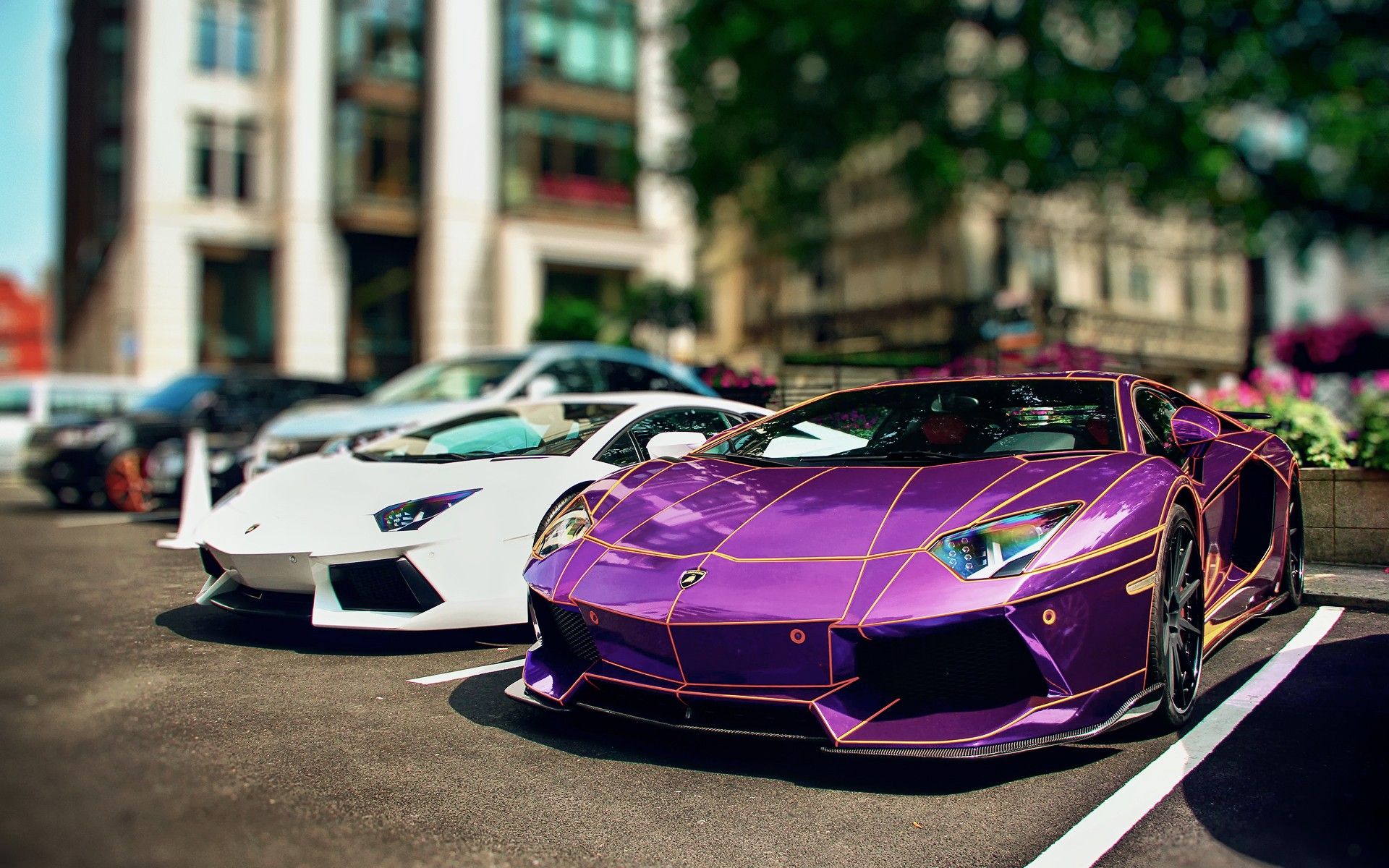 purple, Tron, chrome, performance, Lamborghini Aventador, rims, purple cars, Kit wallpaper
