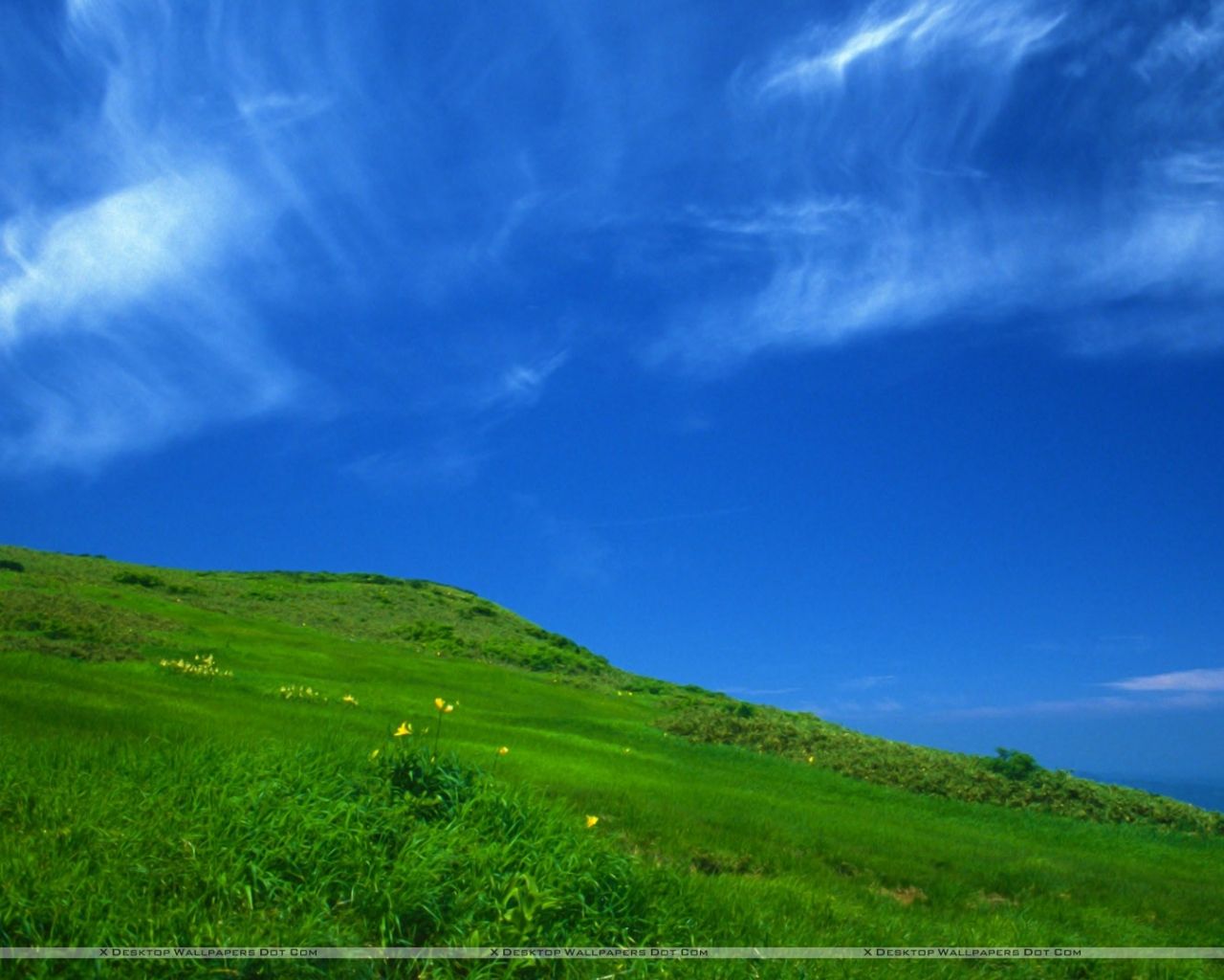 Free download Clear Sky in a sunny day Wallpaper [1920x1080] for your Desktop, Mobile & Tablet. Explore Sunny Day Background. Sunny Wallpaper, Sunny Day Wallpaper Desktop, Sunny Day Wallpaper Nature Widescreen