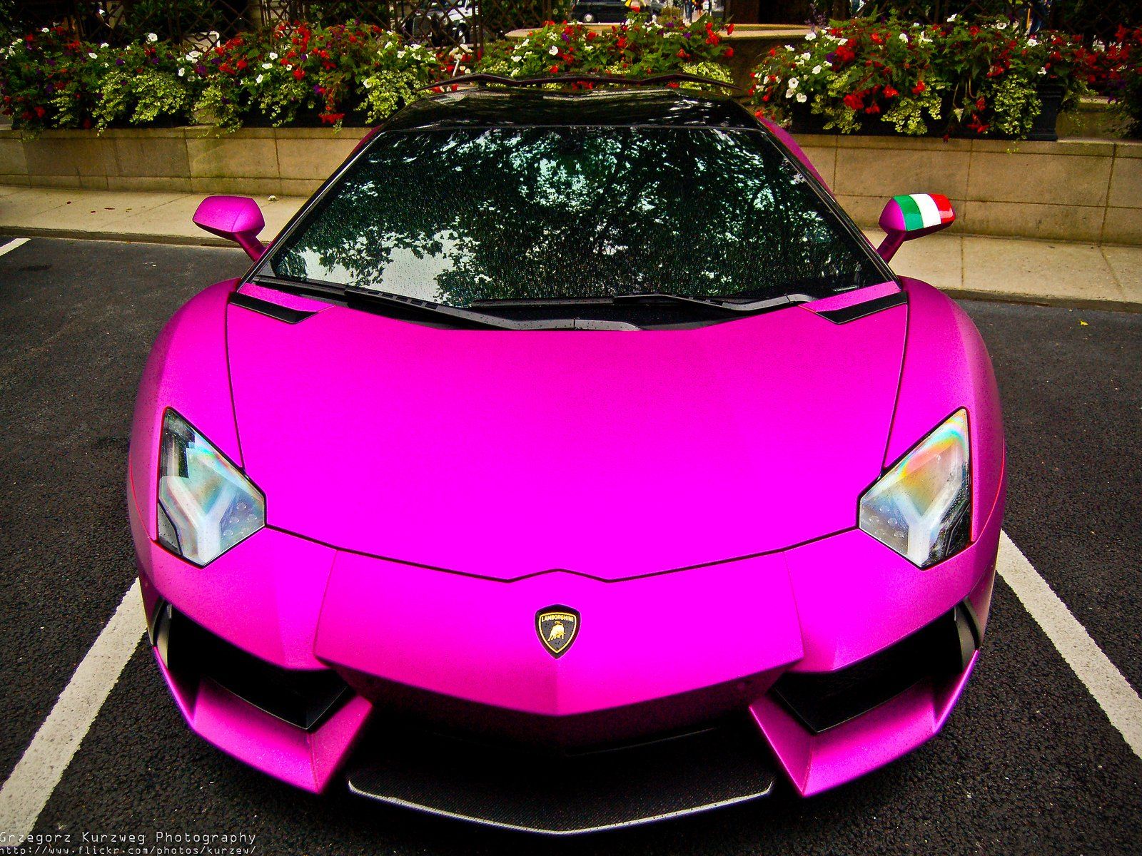 aventador, Purple, Lamborghini, Lp Supercars, Tuning, Wrapping Wallpaper HD / Desktop and Mobile Background