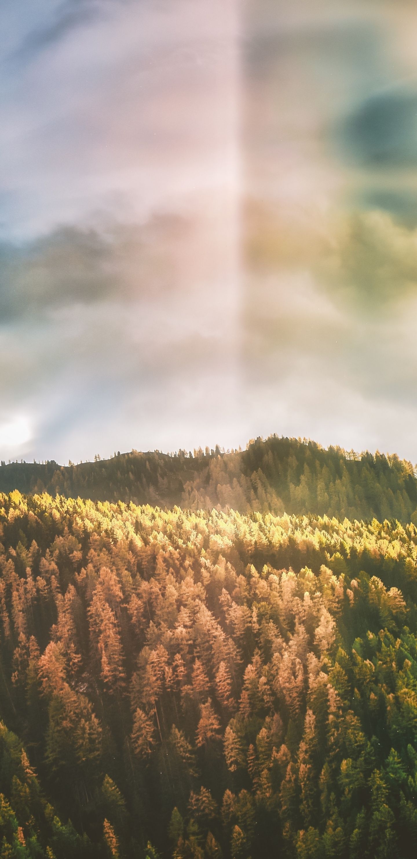 Sunny day, sky, clouds, autumn, nature, tree, 1440x2960 wallpaper. Wallpaper, Sky and clouds, Nature