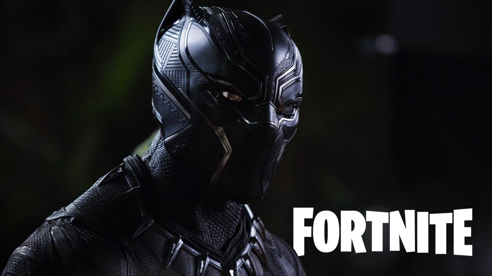 Fortnite Black Panther skin details, POI & abilities leaked