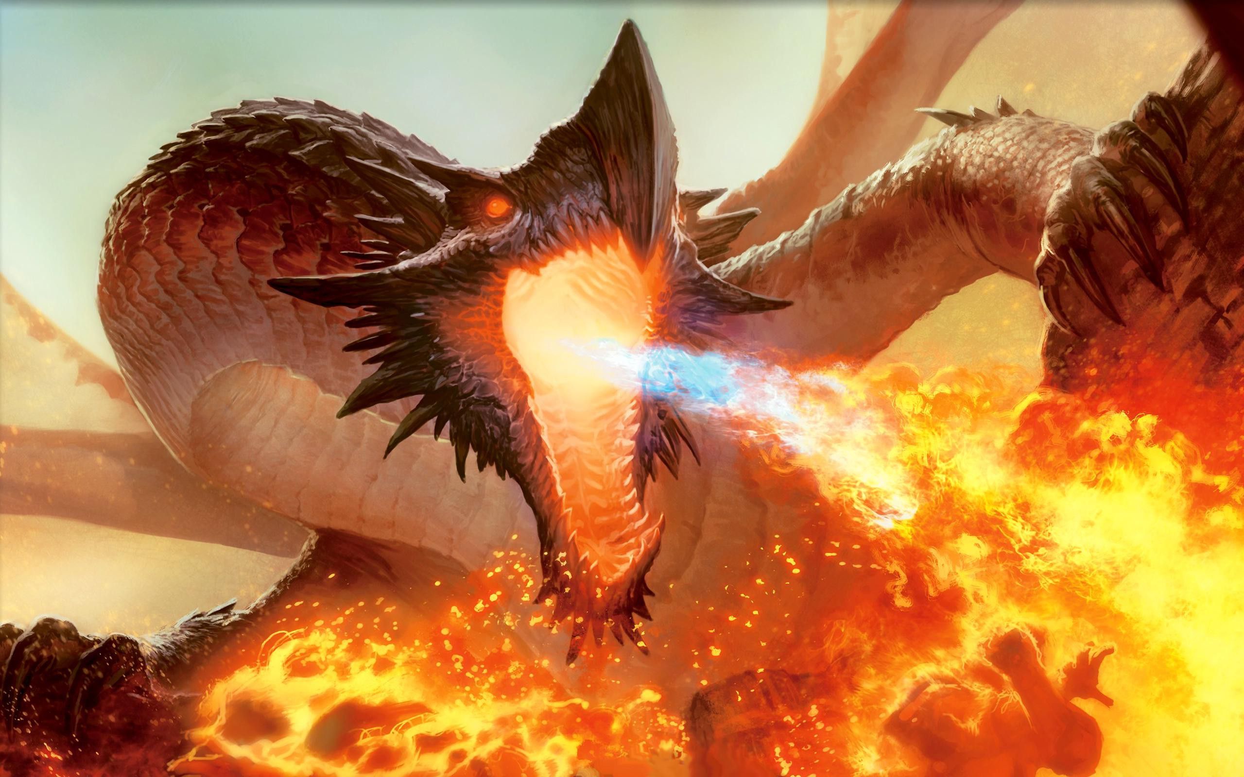 Fire spitting dragon wallpaperx1600