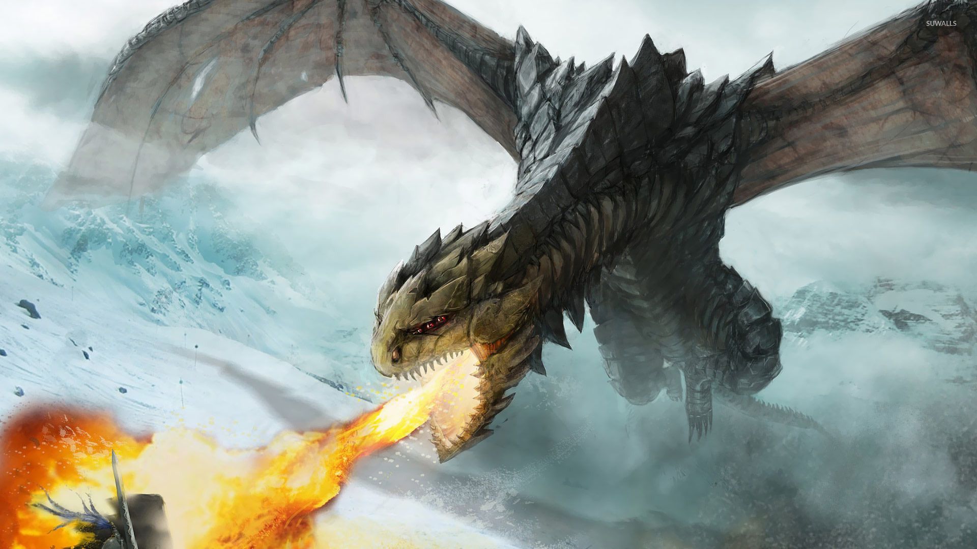 Fire breathing dragon wallpapers.