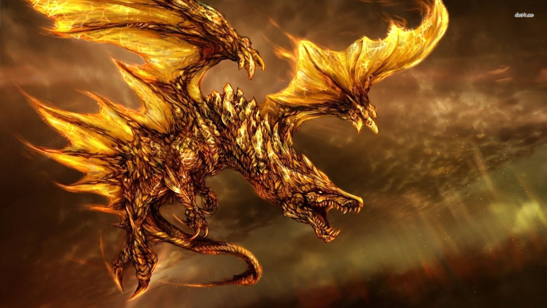 fire dragon fire cool background