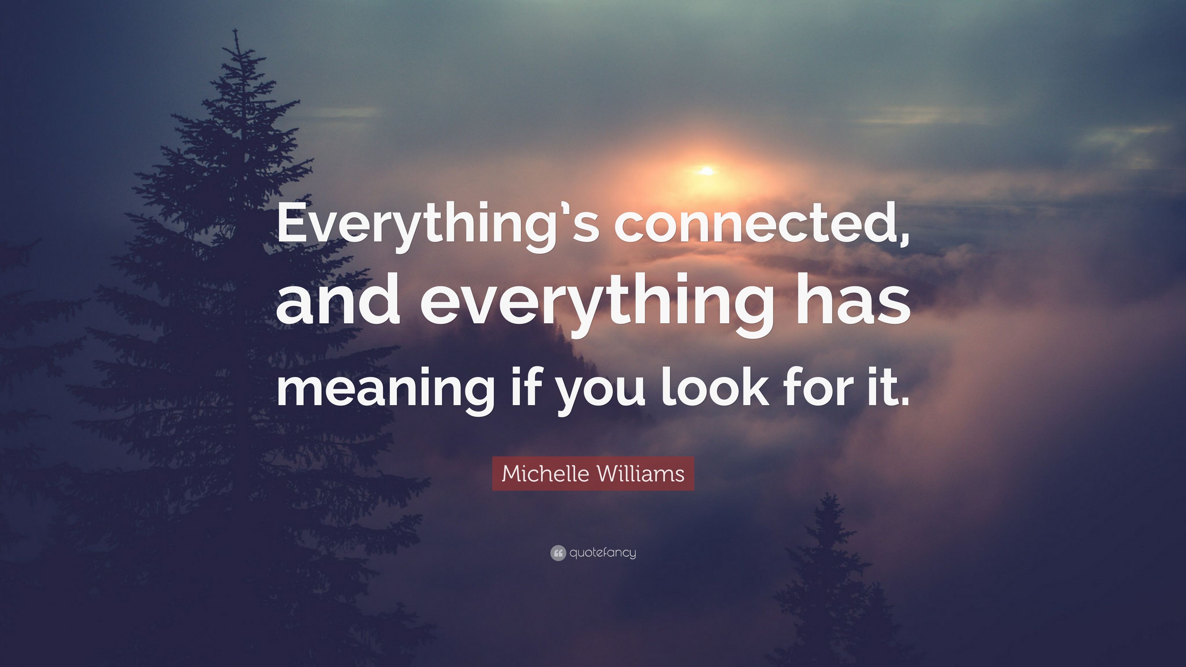 Michelle Williams Quote: “Everything's connected, and everything has meaning if you look for it.” (7 wallpaper)