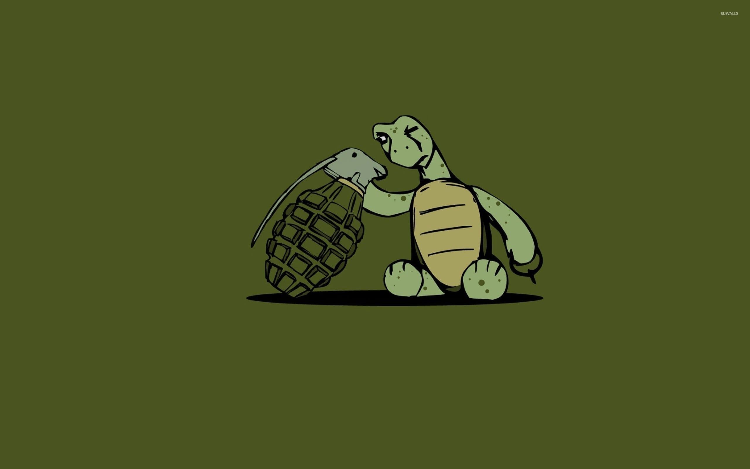 Turtle looking at a grenade wallpaper wallpaper