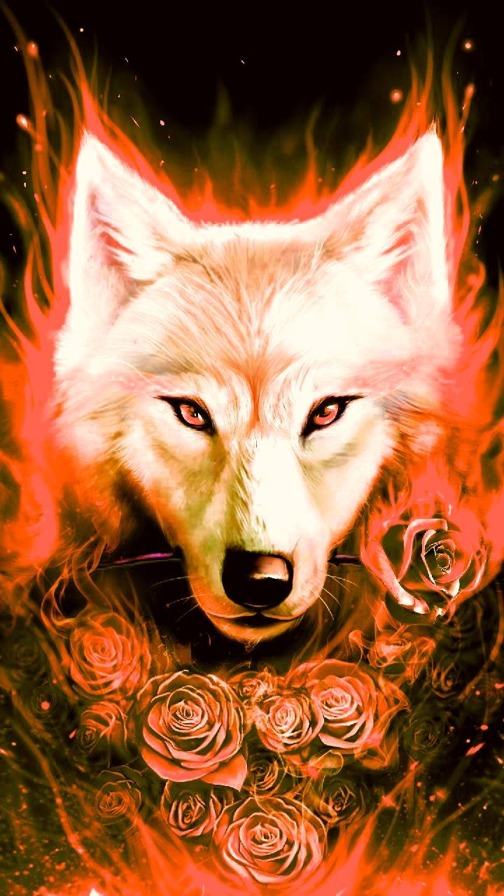 Fire Wolf wallpaper