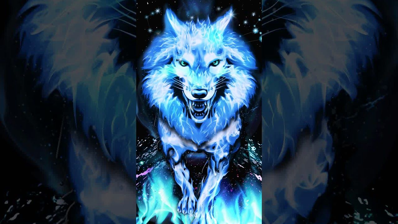 Samsung Theme Live Wallpaper Blue Fire Wolf