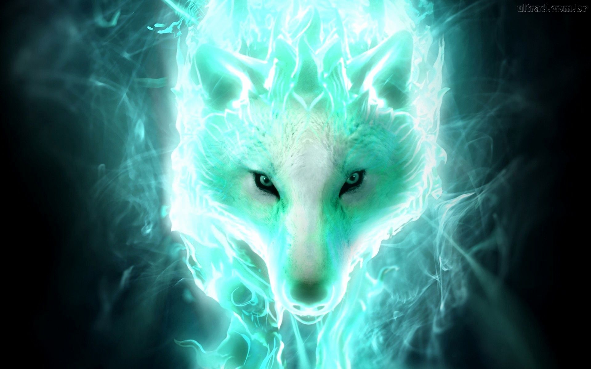 Ice Wolf Wallpaper Beautiful Ice Wolf Wallpaper Of the Day of The Hudson