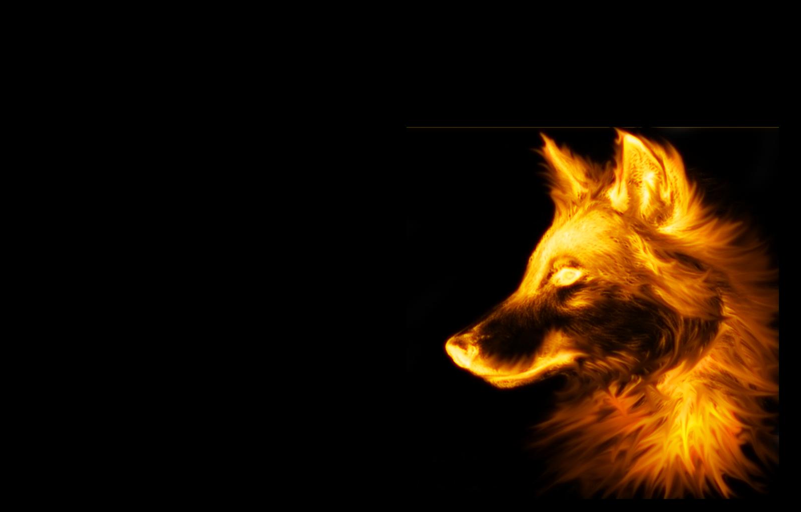 Fire Wolf Wallpaper