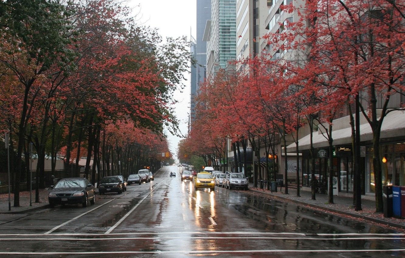 Wallpaper City, Sky, Canada, Cars, Street, Wallpaper, Road, Vancouver, Wet, Trees, Buildings, After rain image for desktop, section город
