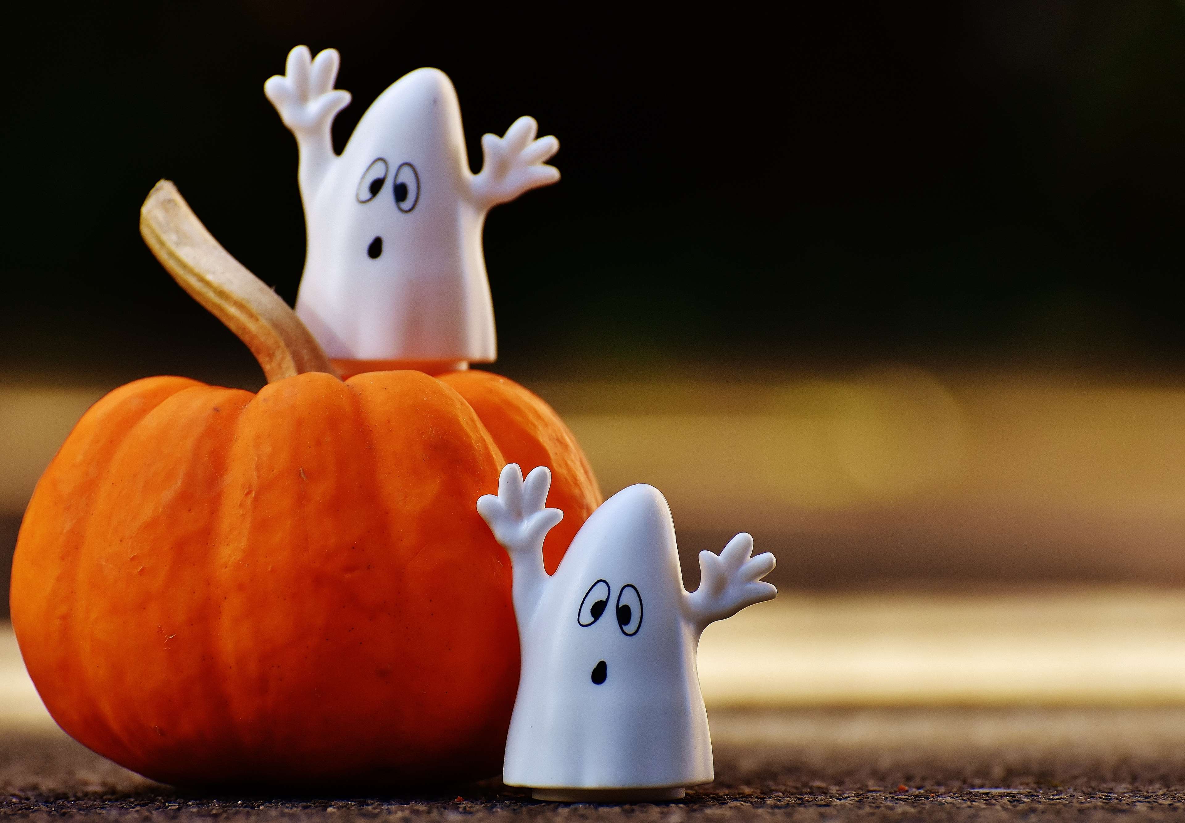 autumn, creepy, customs, cute, decoration, fig, ghost, ghosts, group, halloween, happy halloween, mood, october, pumpkin, spooky 4k wallpaper. Mocah.org HD Desktop Wallpaper