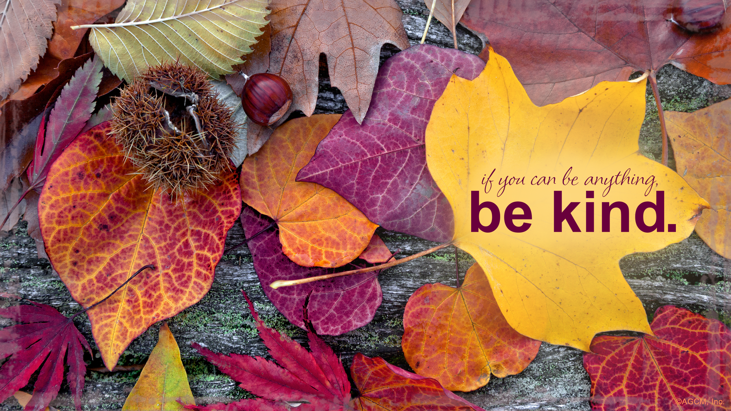 Hello, October! (Free Digital Download) Greetings Blog