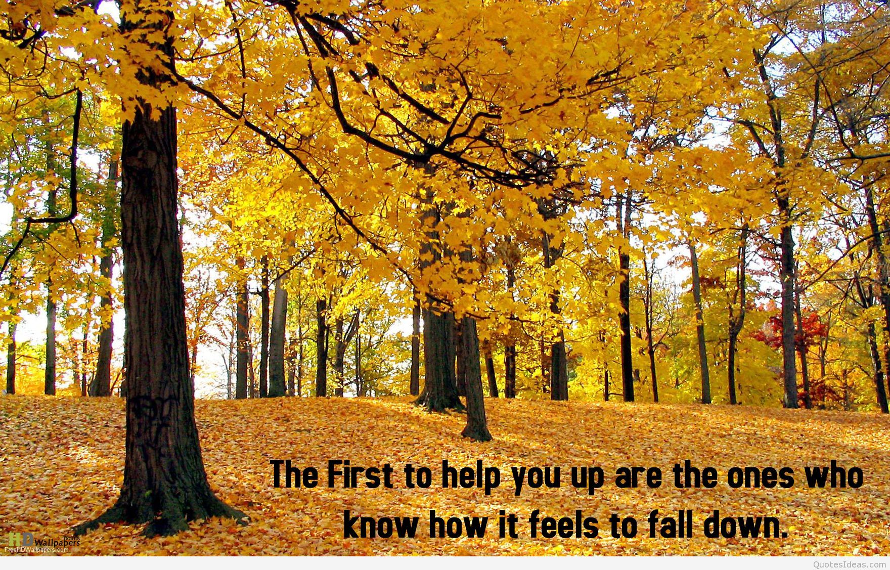 Autumn wallpaper quotes HD and autumn sayings messages