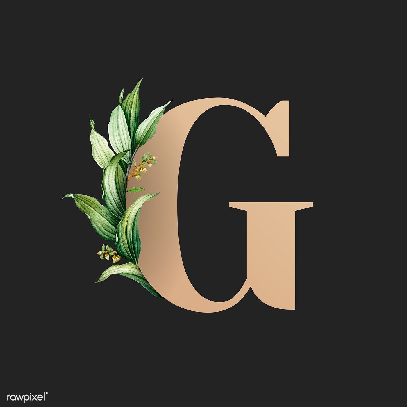 Download premium vector of Botanical capital letter G vector 584878. Letter g, Aesthetic letters, Alphabet wallpaper
