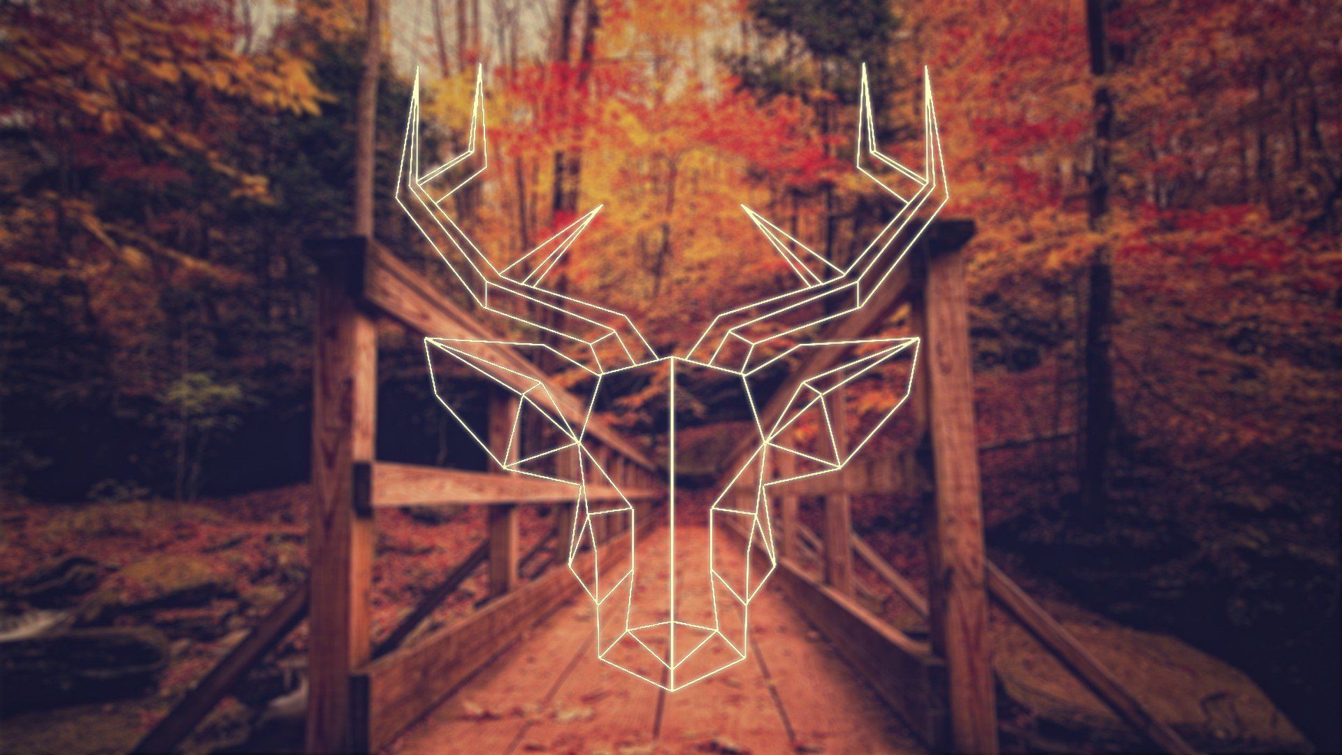 fall, Deer, Polygon art, Hipster Photography, Simple Wallpaper HD / Desktop and Mobile Background