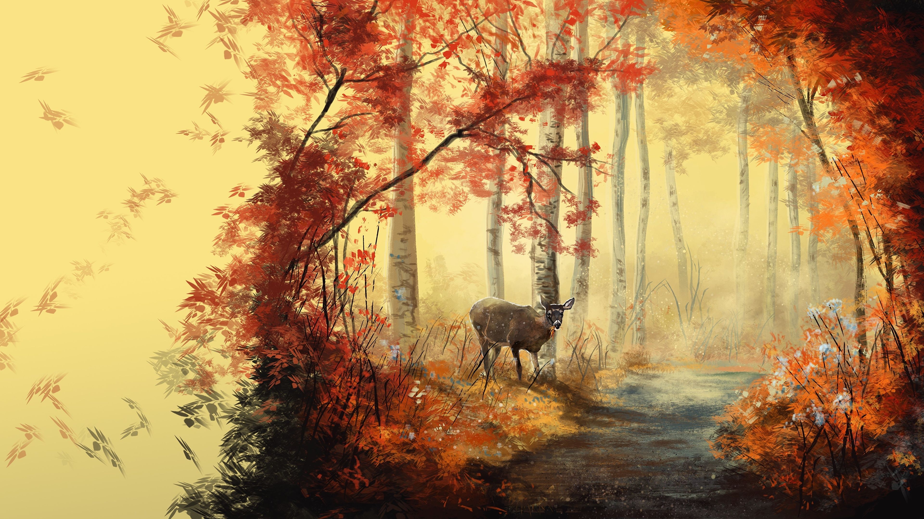 Photo Deer Leaf path Nature Autumn animal Painting Art 3840x2160