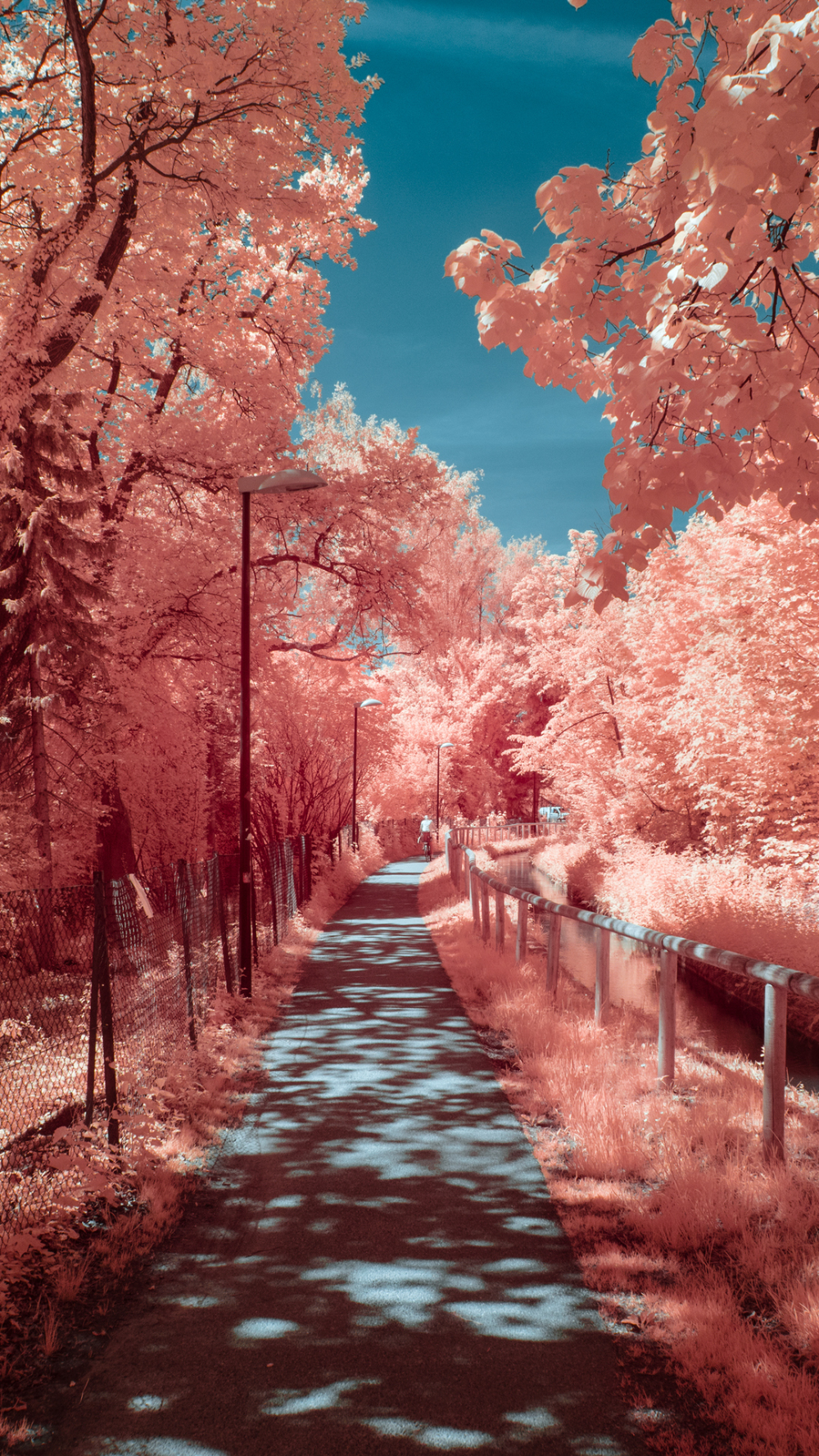 Autumn Photography 4k In 1080x1920 Resolution. Paisaje de fantasía, Ilustración de paisaje, Paisaje asiático