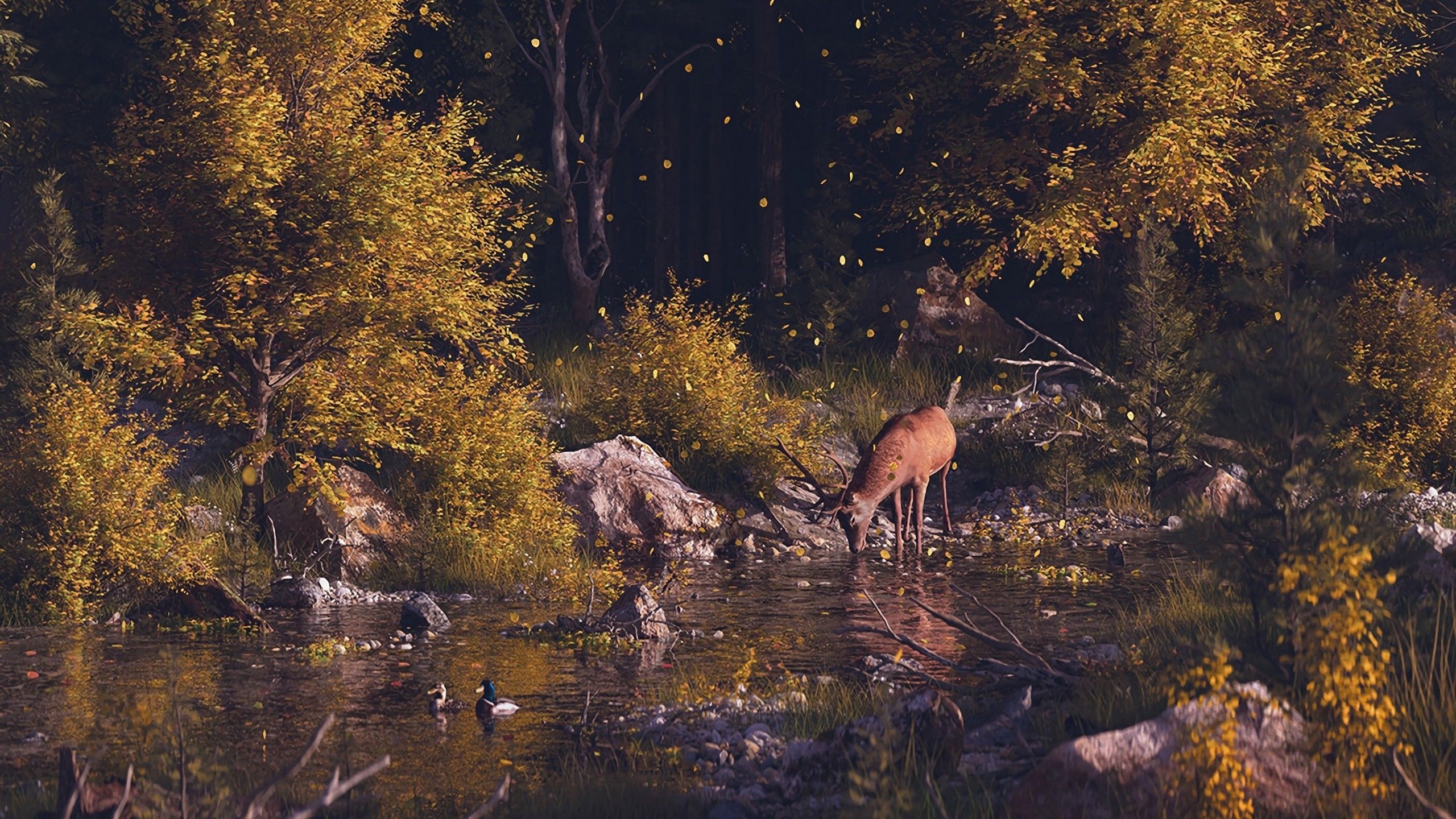 Deer Autumn Wallpapers - Wallpaper Cave