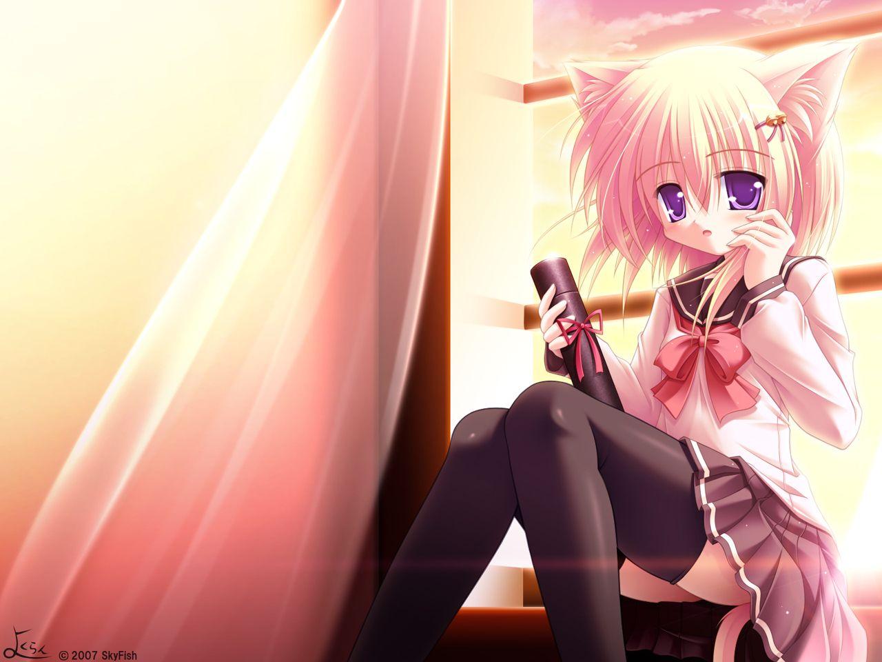 Dakaroth image Neko Girl HD wallpaper and background photo